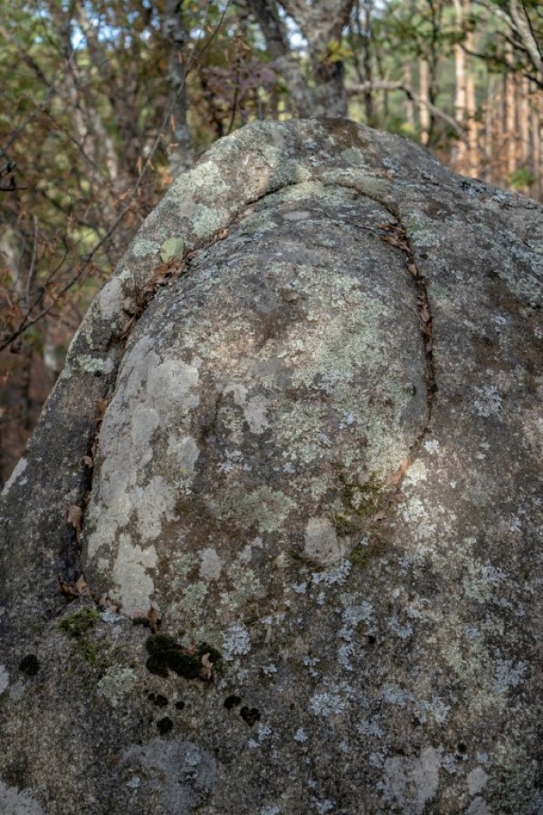 Казанлъчани разчистват достъпа до мегалитен комплекс “Яйцето“. Търсят помагачи