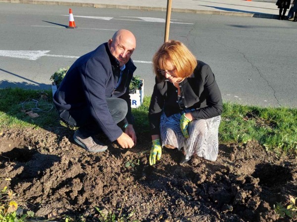 Над 150 казанлъшки рози ще радват посетителите на летище Бургас