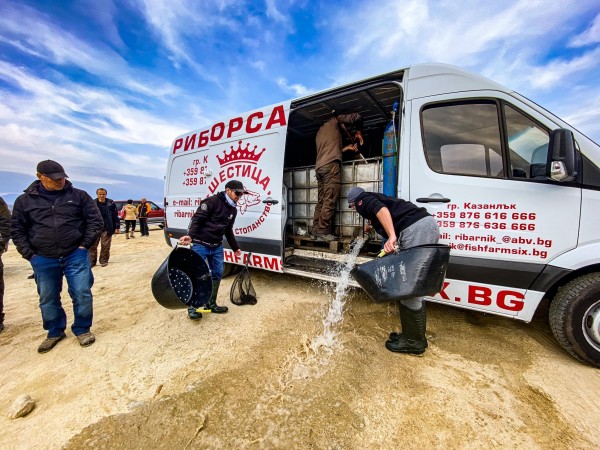 220 кг. бяла риба и 56 кг. отраснали сомчета заплуваха в яз. Копринка след състезанието