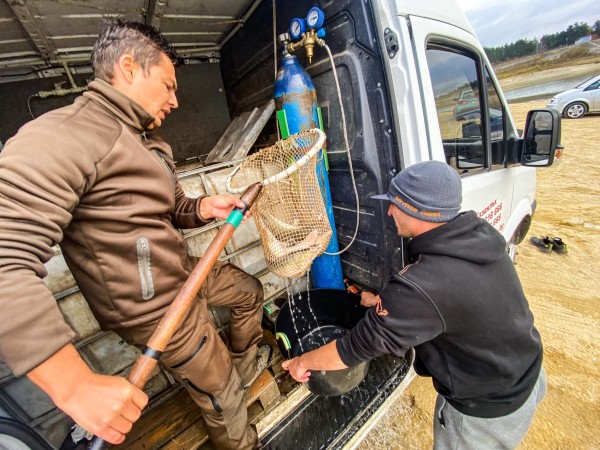 220 кг. бяла риба и 56 кг. отраснали сомчета заплуваха в яз. Копринка след състезанието