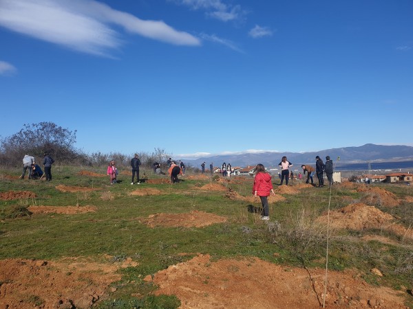 И най-малките се включиха в залесяването в Розово