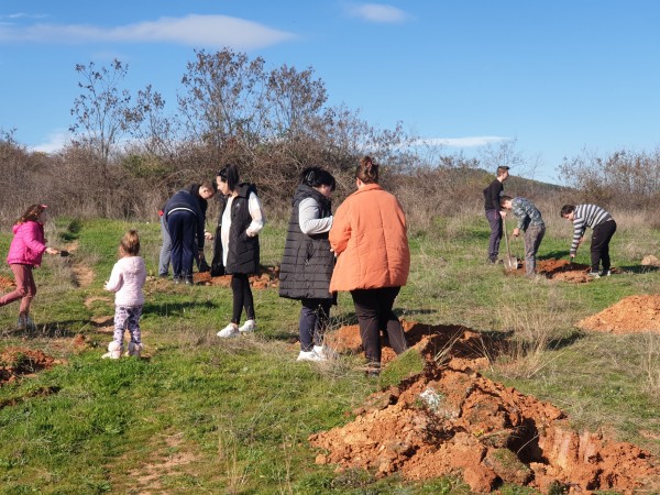 И най-малките се включиха в залесяването в Розово
