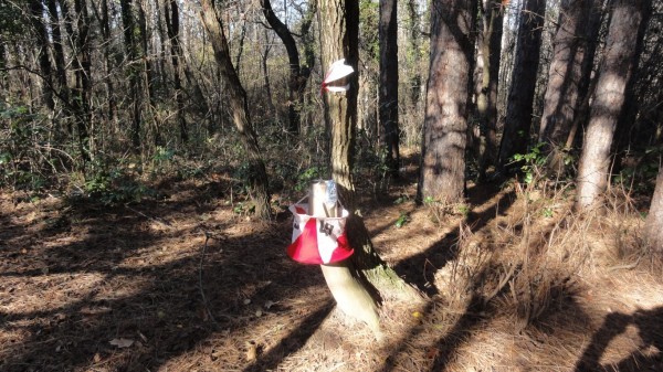 За поредна година стягат състезанието по ориентиране “Никулденско бягане“