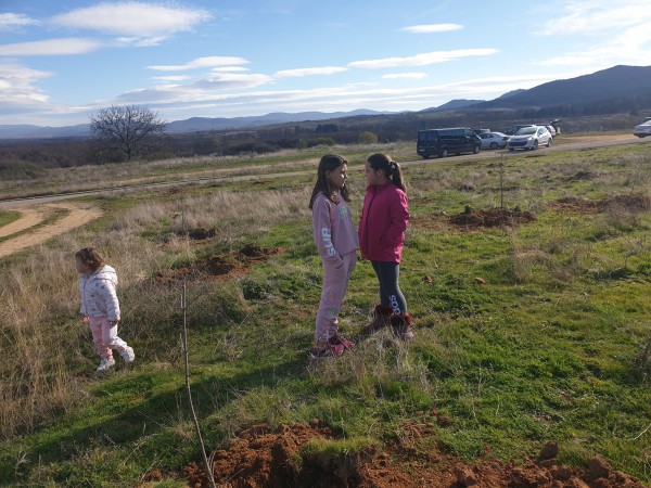 И най-малките се включиха в залесяването в Розово