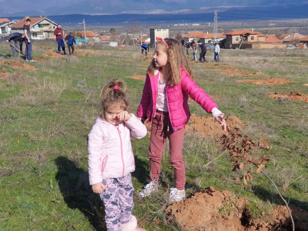 И най-малките се включиха в залесяването в Розово