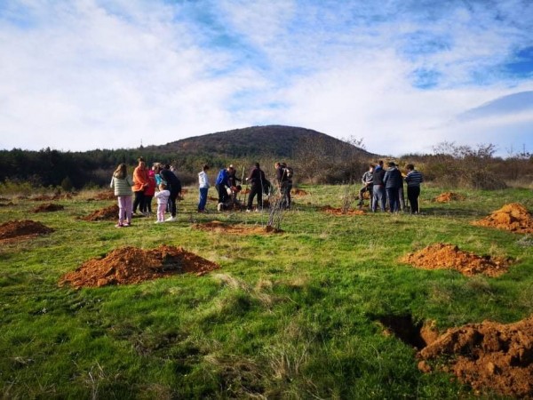 И най-малките се включиха в залесяването в Розово