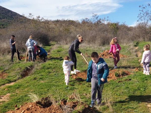 И най-малките се включиха в залесяването в Розово