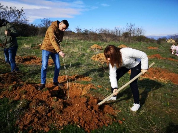 И най-малките се включиха в залесяването в Розово