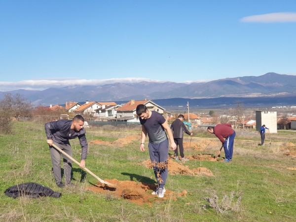 И най-малките се включиха в залесяването в Розово