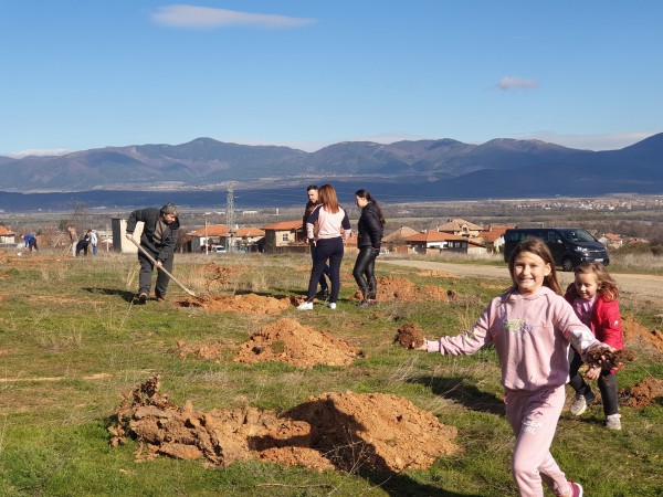 И най-малките се включиха в залесяването в Розово
