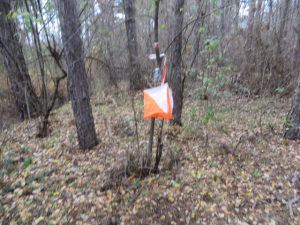 155 участници се включиха в тазгодишното “Никулденско бягане“