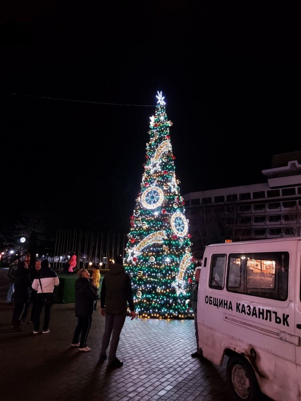 Стефан Караиванов и Иван Захариев са спасителите на котката, покатерила се на коледната елха