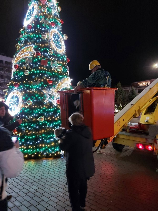 Стефан Караиванов и Иван Захариев са спасителите на котката, покатерила се на коледната елха