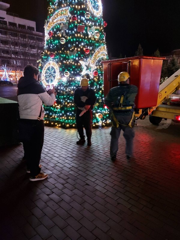 Стефан Караиванов и Иван Захариев са спасителите на котката, покатерила се на коледната елха