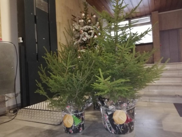 Елхичките за медиците вече са на път към тях