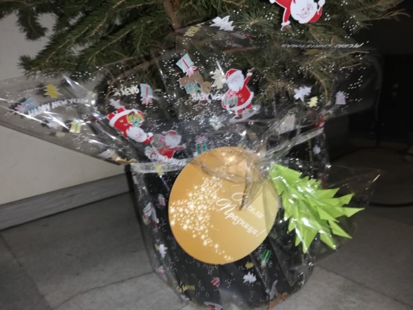 Елхичките за медиците вече са на път към тях