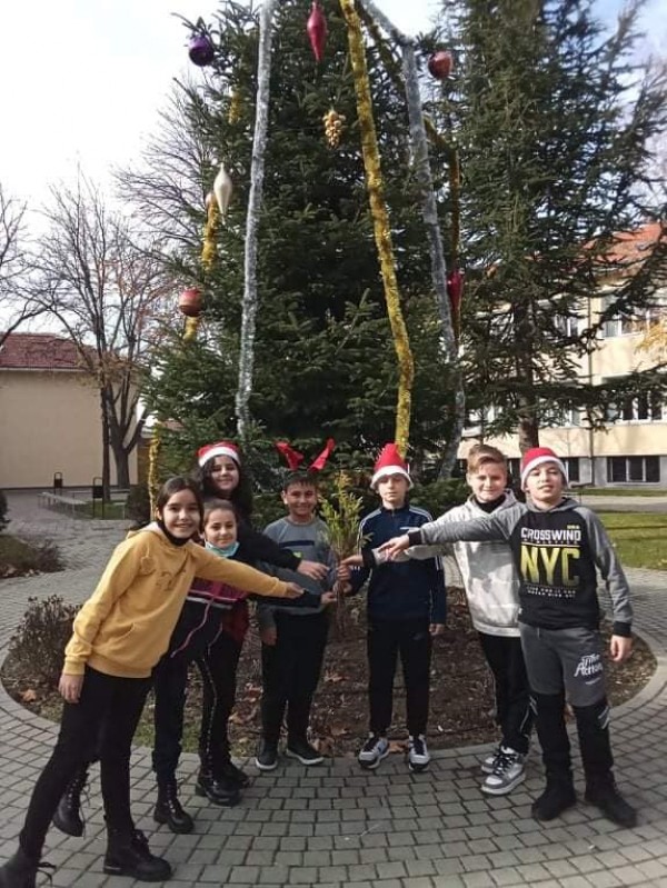 ОУ “Георги Кирков“ и Гората.бг с поредна кауза - “Засади дърво за Коледа“