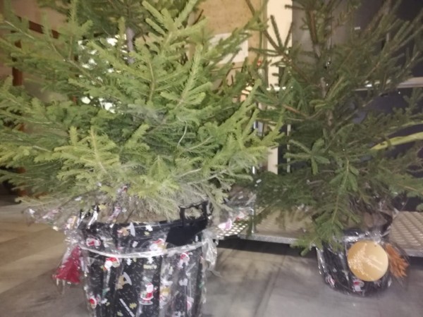 Елхичките за медиците вече са на път към тях