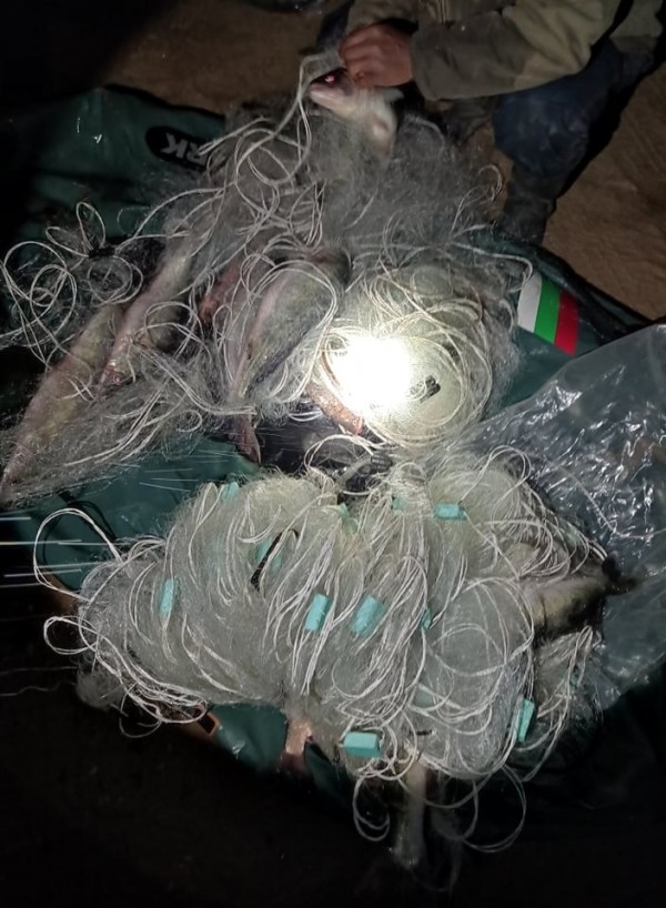 Нощна акция залови четирима мрежари на Корпинка