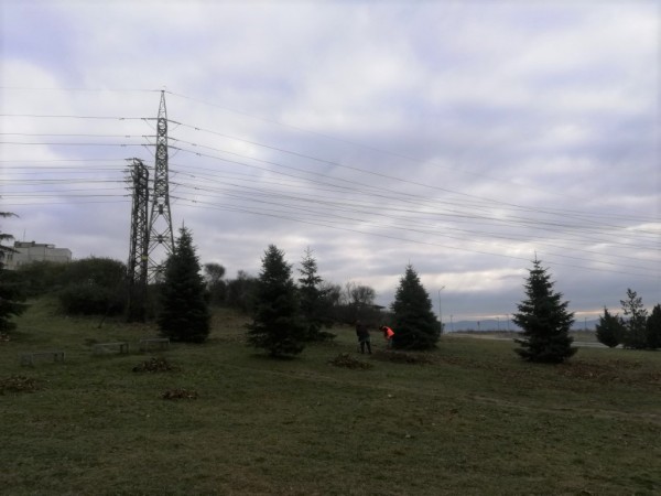 Гората на казанлъшките медици ще бъде в ж.к. “Изток“
