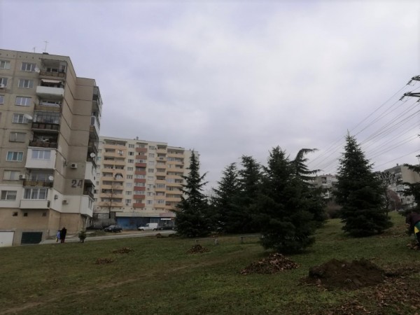 Гората на казанлъшките медици ще бъде в ж.к. “Изток“