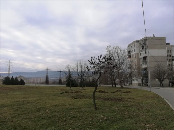 Гората на казанлъшките медици ще бъде в ж.к. “Изток“