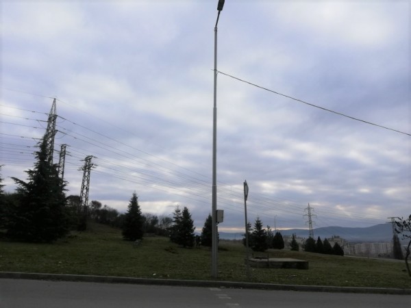 Гората на казанлъшките медици ще бъде в ж.к. “Изток“