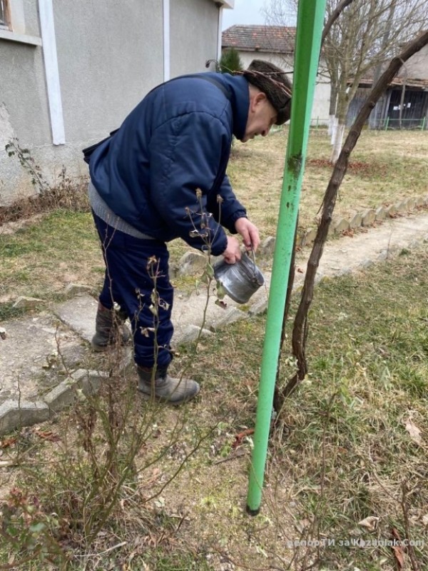 Средногорци зарязаха лозите