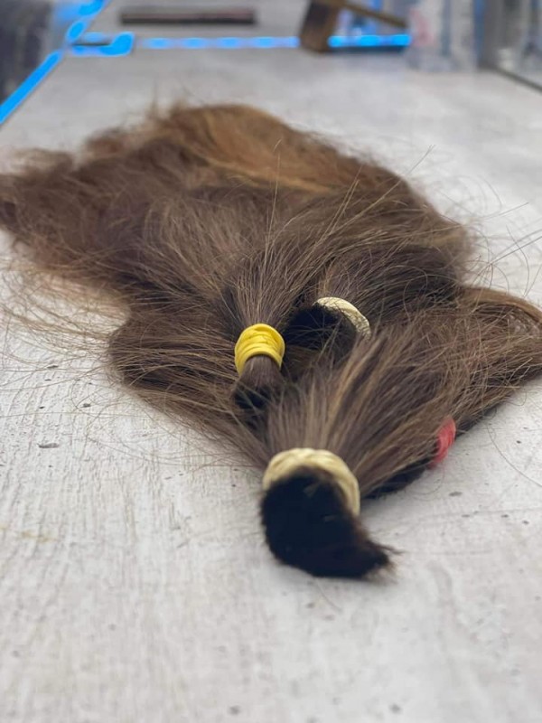 Над 15 са малките дарители в кампанията „Надеждата е красива“ от началото на годината