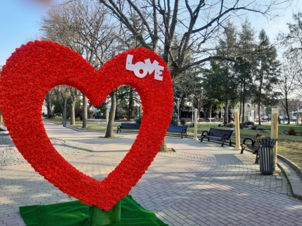 Красиво сърце от рози в центъра на Казанлък