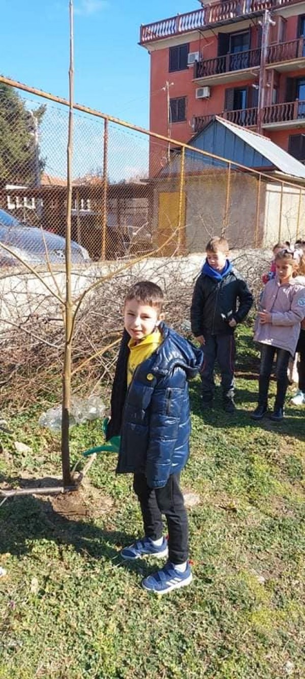 Малките природолюбители от ОУ „Св. Паисий Хилендарски“ засадиха люлякови дръвчета