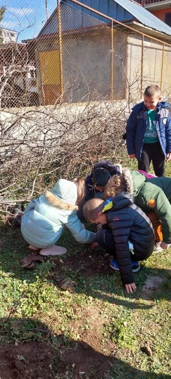 Малките природолюбители от ОУ „Св. Паисий Хилендарски“ засадиха люлякови дръвчета