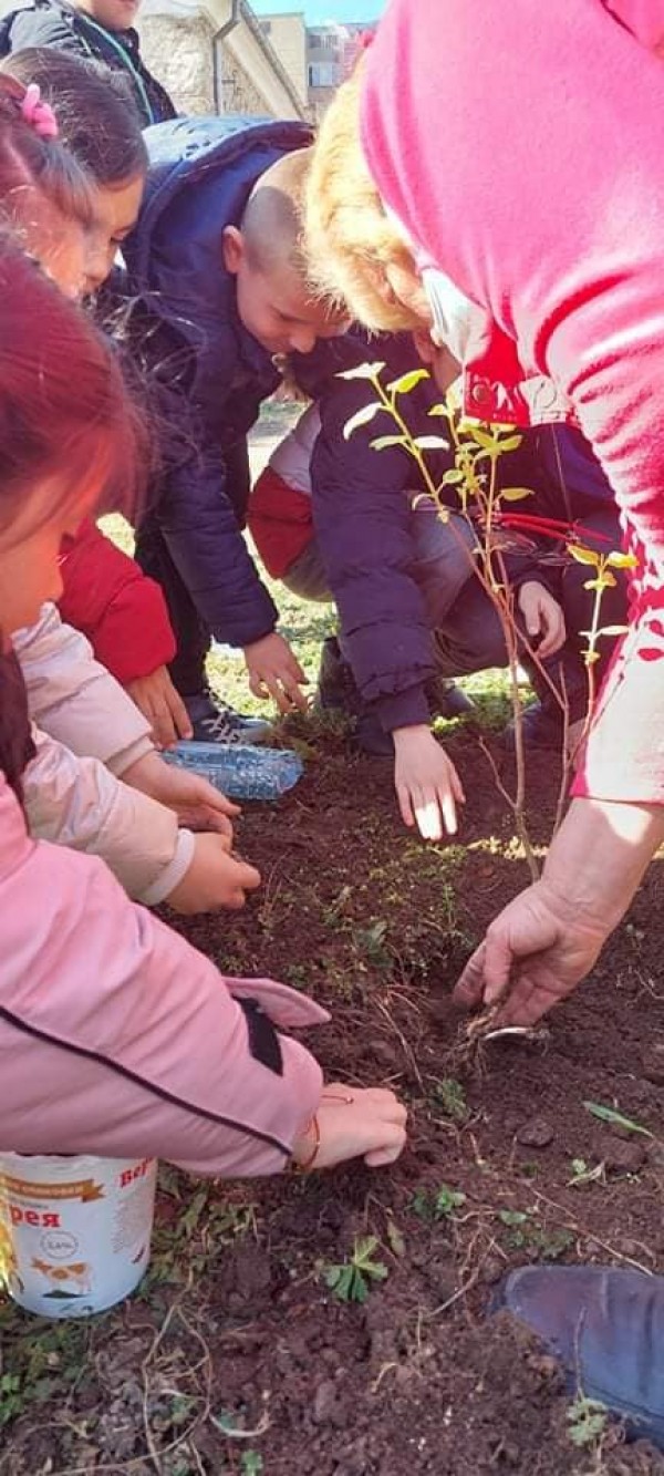 Малките природолюбители от ОУ „Св. Паисий Хилендарски“ засадиха люлякови дръвчета