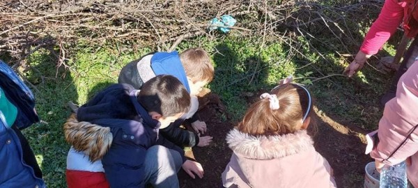 Малките природолюбители от ОУ „Св. Паисий Хилендарски“ засадиха люлякови дръвчета