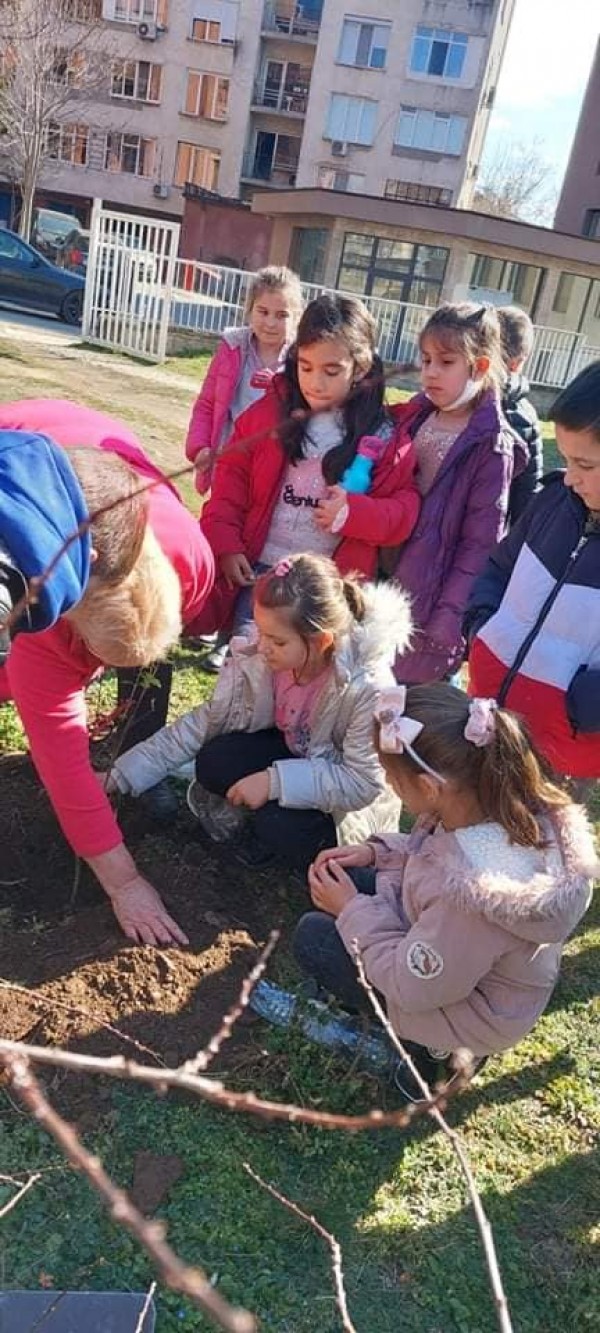 Малките природолюбители от ОУ „Св. Паисий Хилендарски“ засадиха люлякови дръвчета