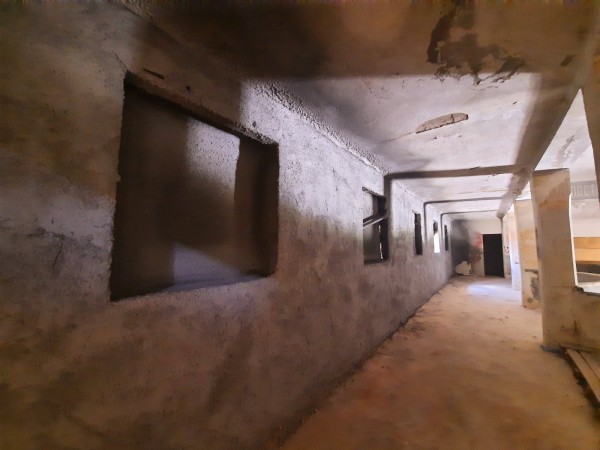 Бесарабският славей Лилия Семкова засне клип в читалището в Шипка