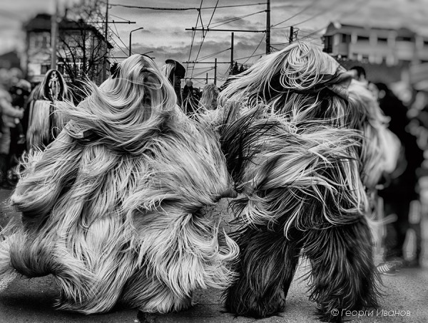 Фотоизложбата „Кукерландия” превзема Музея на фотографията 