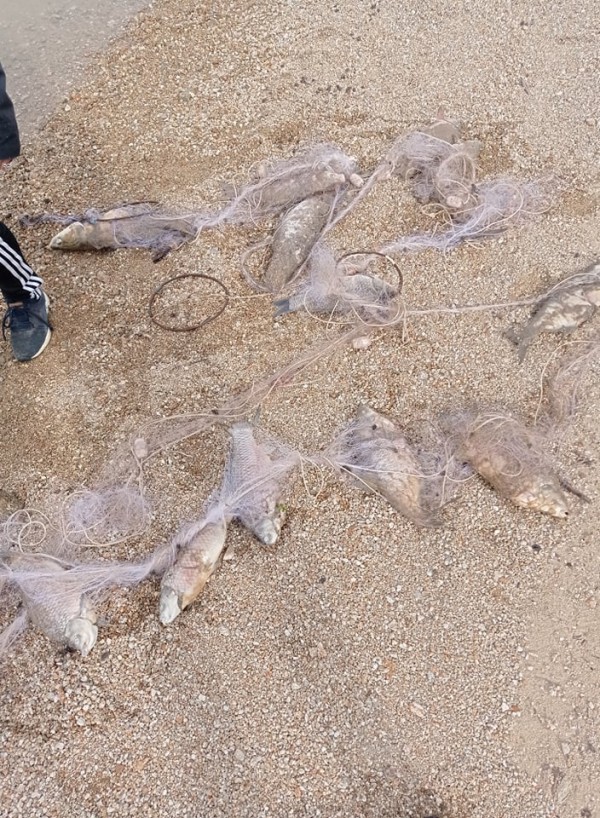 Откриха незаконни мрежи на Копринка, Жребчево и Ястребино