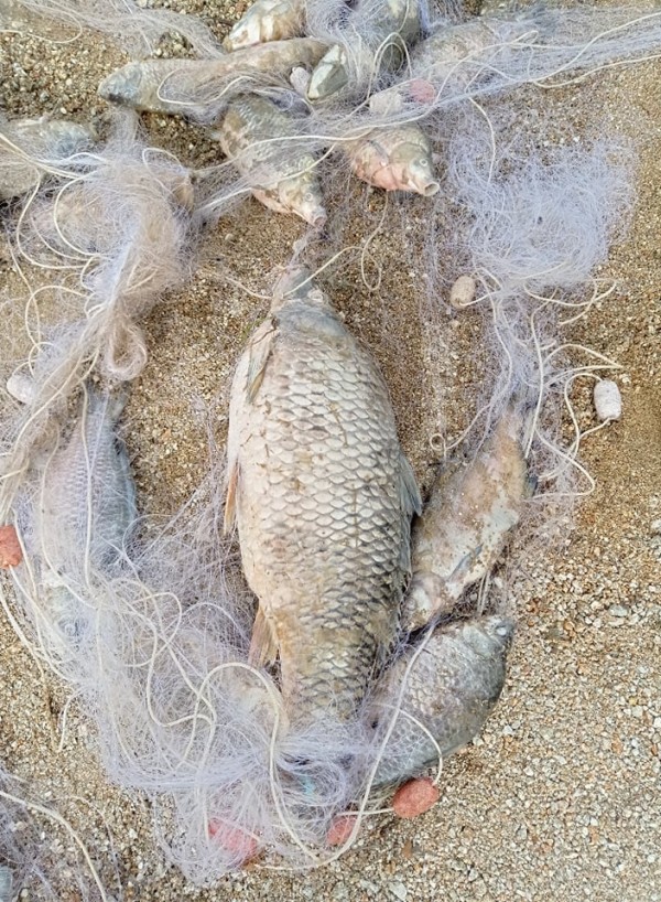 Откриха незаконни мрежи на Копринка, Жребчево и Ястребино