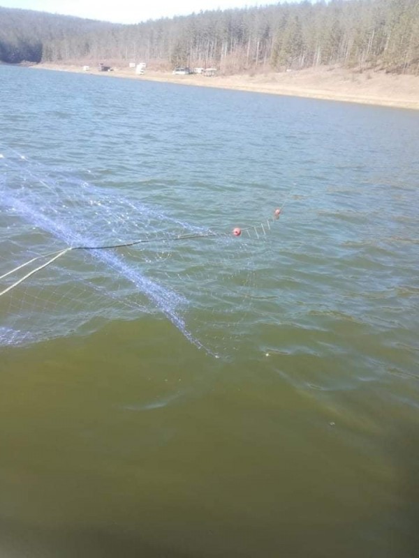 Откриха незаконни мрежи на Копринка, Жребчево и Ястребино