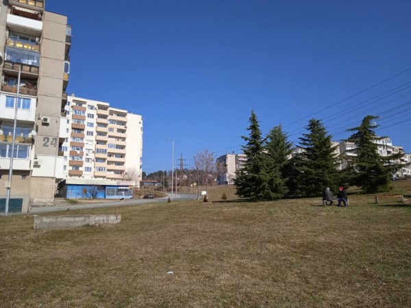 Гората на казанлъшките медици се разраства