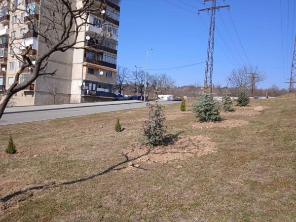 Гората на казанлъшките медици се разраства