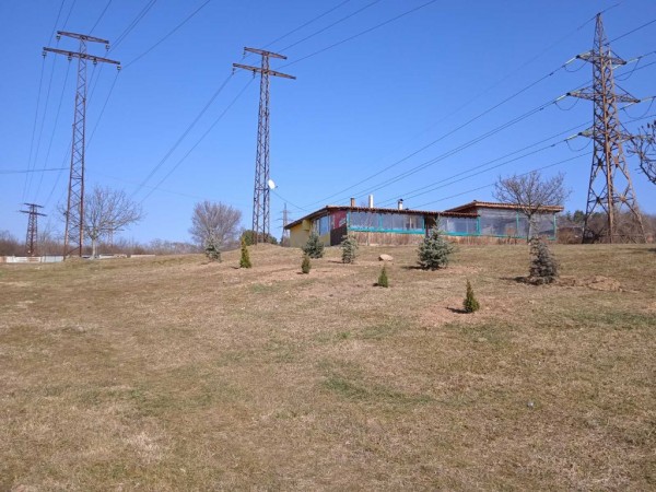 Гората на казанлъшките медици се разраства