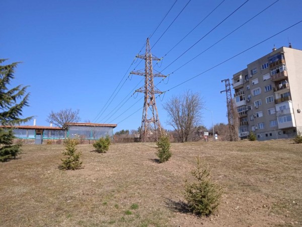 Гората на казанлъшките медици се разраства