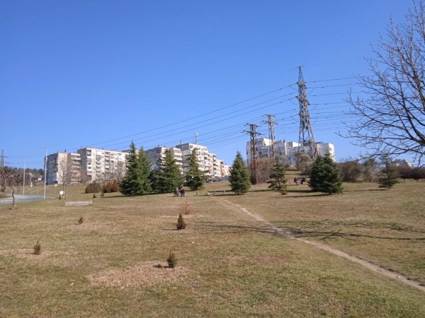 Гората на казанлъшките медици се разраства