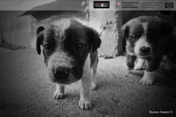 “Юнайтед Авангард Артист“ заснеха 19 хумористични скеча