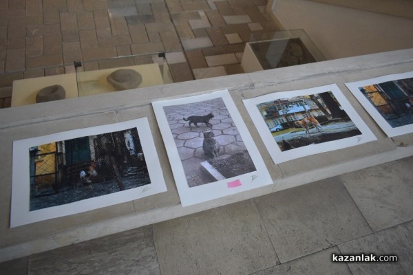 Над 2000 лв. събраха младите художници за Маги