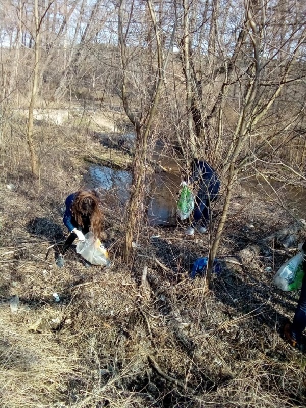 Ученици от ПХГ „Св. Св. Кирил и Методий” и приятели почистиха част от защитената местност „Гората на Боряна”