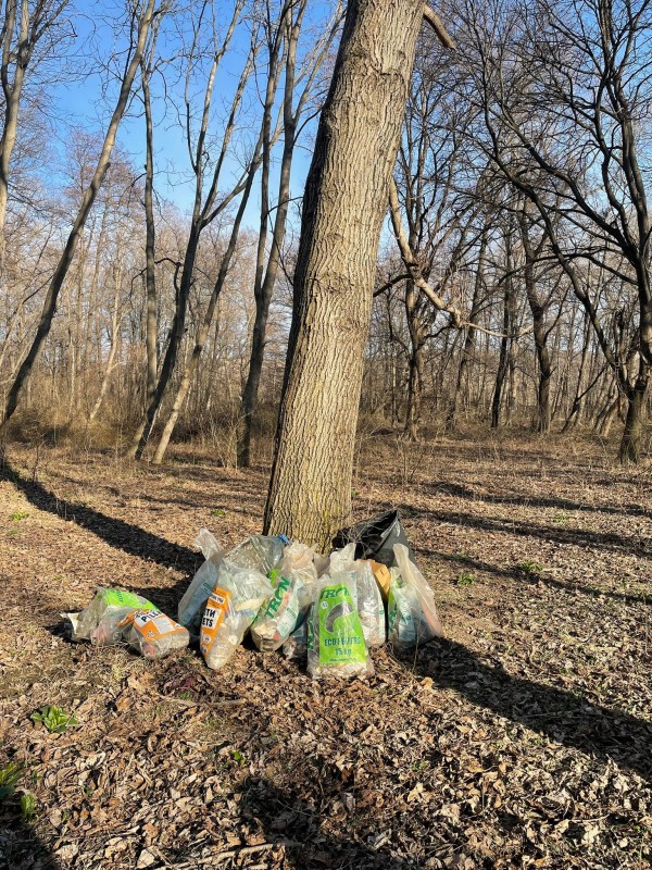 Ученици от ПХГ „Св. Св. Кирил и Методий” и приятели почистиха част от защитената местност „Гората на Боряна”