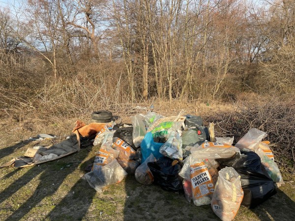 Ученици от ПХГ „Св. Св. Кирил и Методий” и приятели почистиха част от защитената местност „Гората на Боряна”